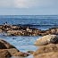 thumbs/E54_6533.jpg